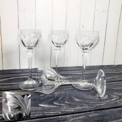 #951 - Kristallschnapsgläser Set